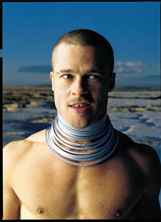 Brad-Pitt-Seliger.jpg