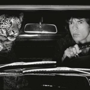 Mick Jagger with Leopard in Car. 1992 by Albert Watson, the singer driving a vintage car with a wild cat as passenger
