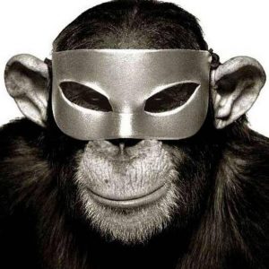 Monkey by Albert Watson, portrait of a monkey wearing a gold mask