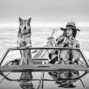 On the road again by David Yarrow, cindy Crawford and Wolf in a car driving through steppe