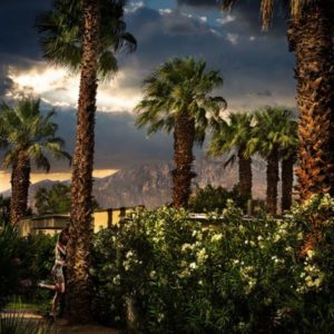 Hidden romance by David Drebin, model leaning on a palmtree in a garden
