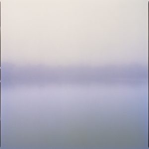 Lake III by Nigel Parry from the Landscapes series, trees by the lake in green and purple mist