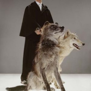 David Bowie, the Pack by Markus Klinko, the singer in black robe with two wolfdogs