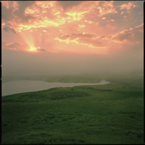 Bison Yellowstone by Nigel Parry, green Plane with Lake and Bison and glowing sky