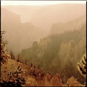 Yellowstone 28 by Nigel Parry, mountain cliffs with trees in orange light